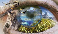 /album/contaminacion-ambiental/ojo-naturaleza-web-jpg1/